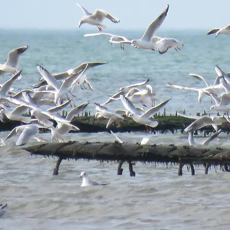 Ferienhaus Maison Calme Proche Ver-sur-Mer