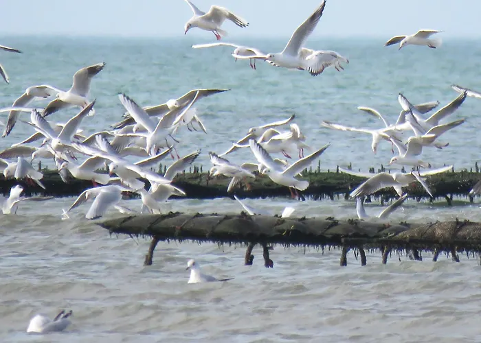 Casa vacanze Maison Calme Proche Ver-sur-Mer